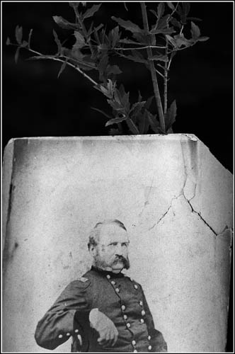 Maj Gen William H Emory & his tree