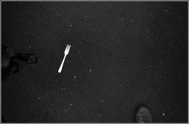 fork in the road ©bill emory